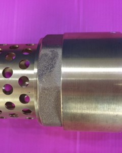 Brass Foot Valve 2”